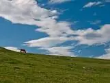 terra