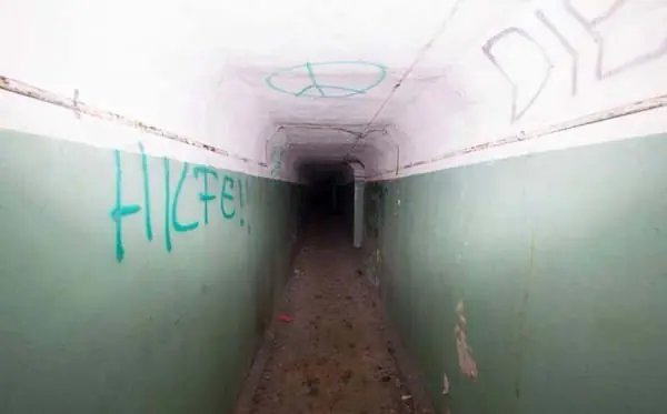 Vieron algo en el bosque y encontraron algo muy sorprendente