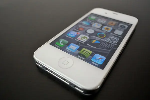 Apple Apple