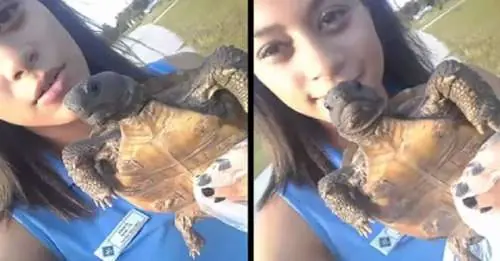 Pensó estaba salvando una “tortuga” pero hacia lo contrario.
