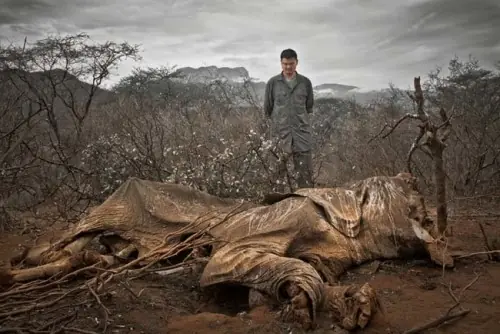 Esta pasando algo terrible, estas 25 fotos lo muestran