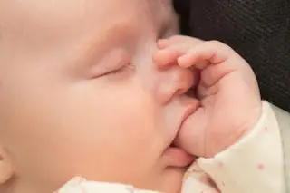 bebe