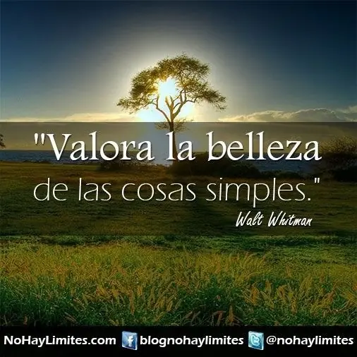 walt wi