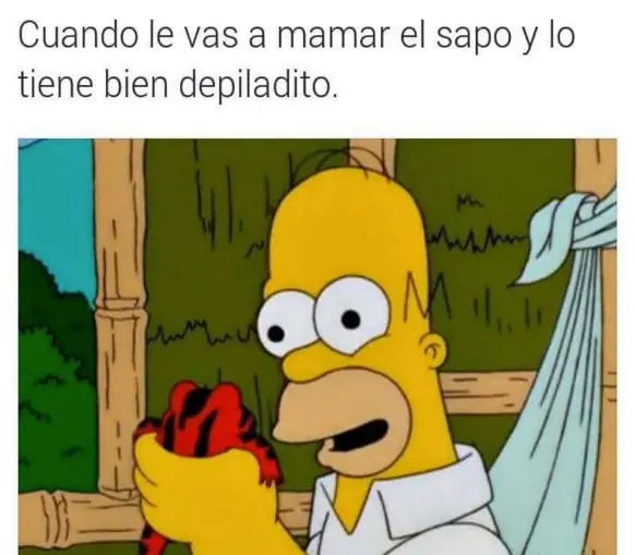 memes