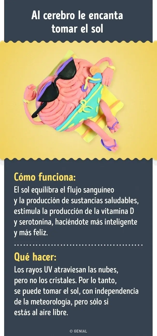 cerebro