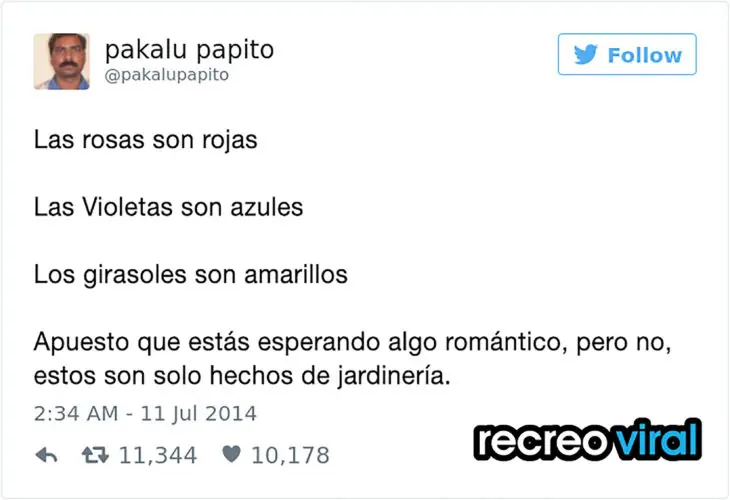 Tuits con los finales más inesperados, que te harán reír