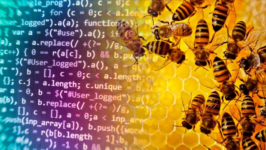 Abejas ayudan a desmantelar redes sociales criminales