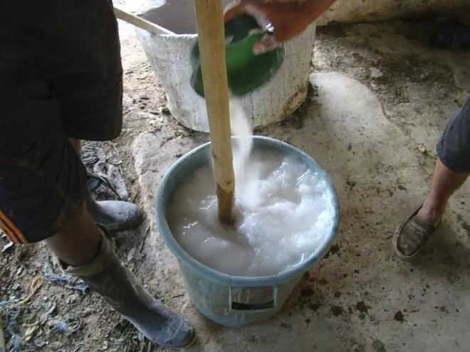 cocaina cocaina