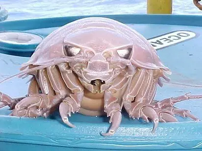 aterrador aterrador