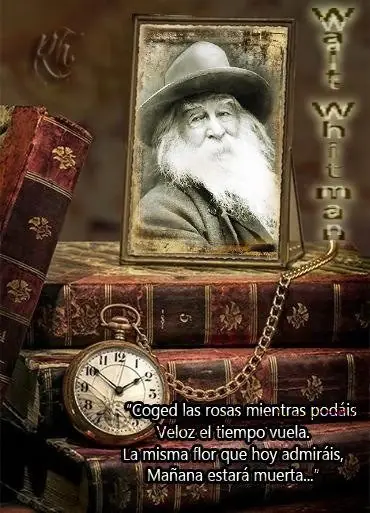 Whitman