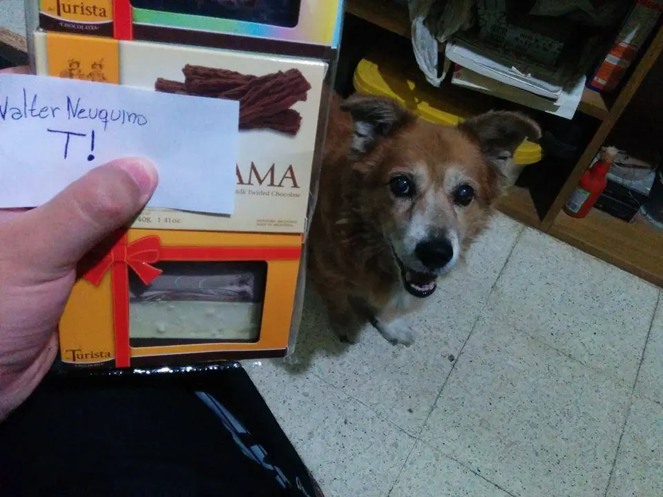 Festejo mi triste pseudo cumpleaños+certificadas