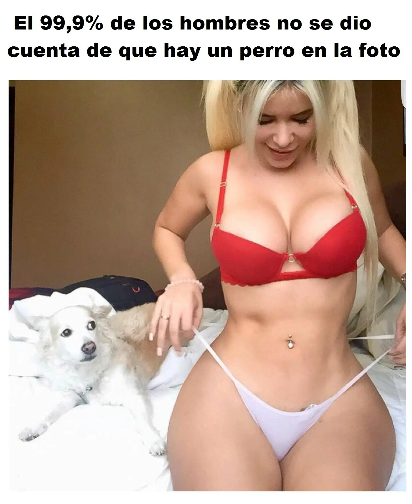 imagenes