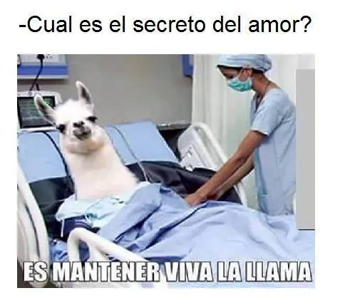 imagenes