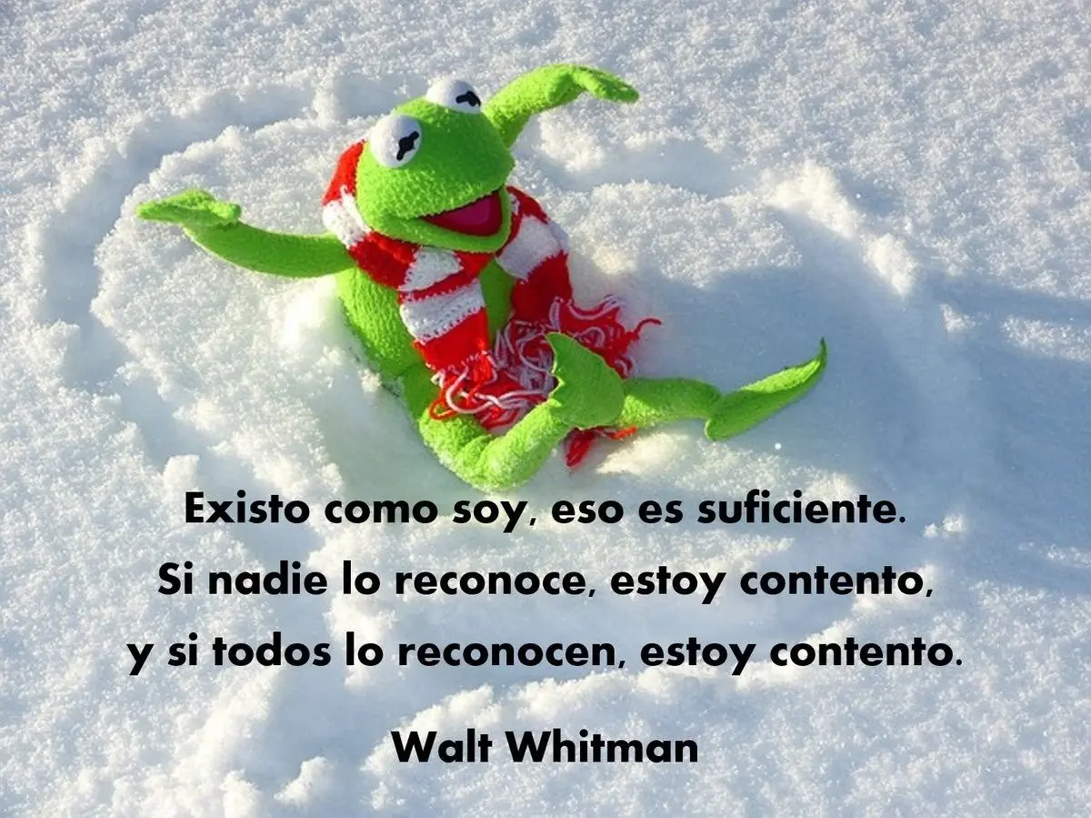 walt wi