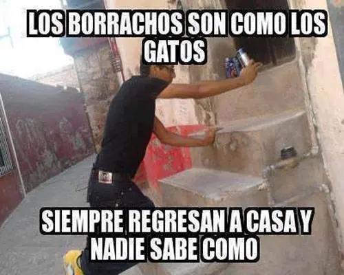 +10 si ya te saco una carcajada