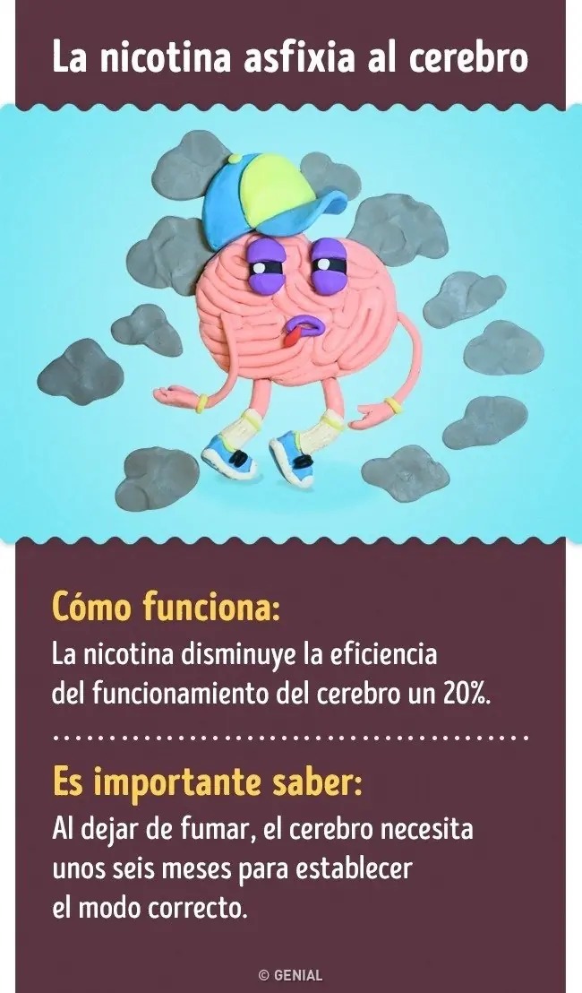 15 Maneras comprobadas de mejorar las funciones del cerebro