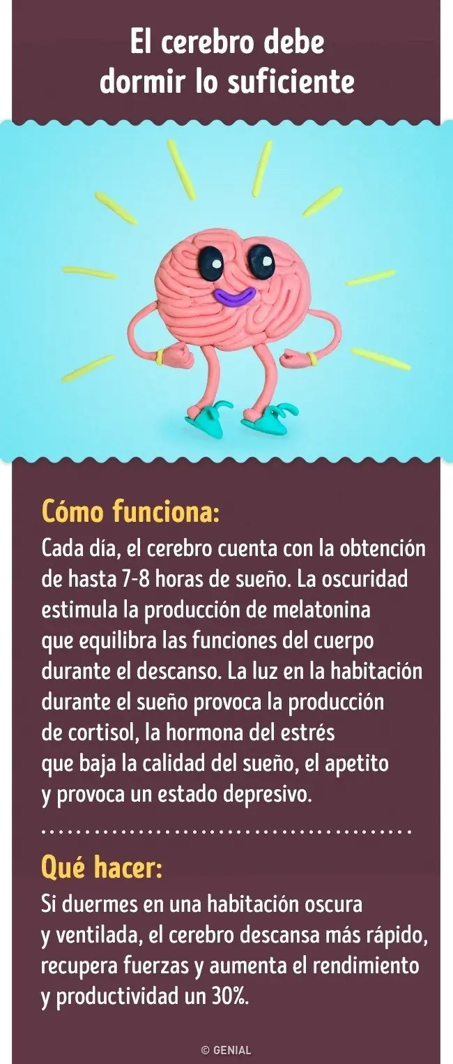 rendimiento