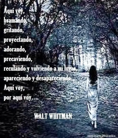 Las frases más hermosas de Walt Whitman, Hazte el amor