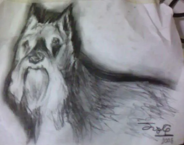 mas dibujos a lapiz y color!! xD