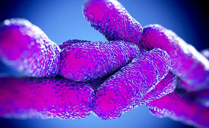 Las 12 bacterias más peligrosas para la humanidad