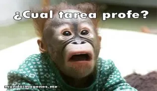 imagenes graciosas y ultimo post del 2015 D: