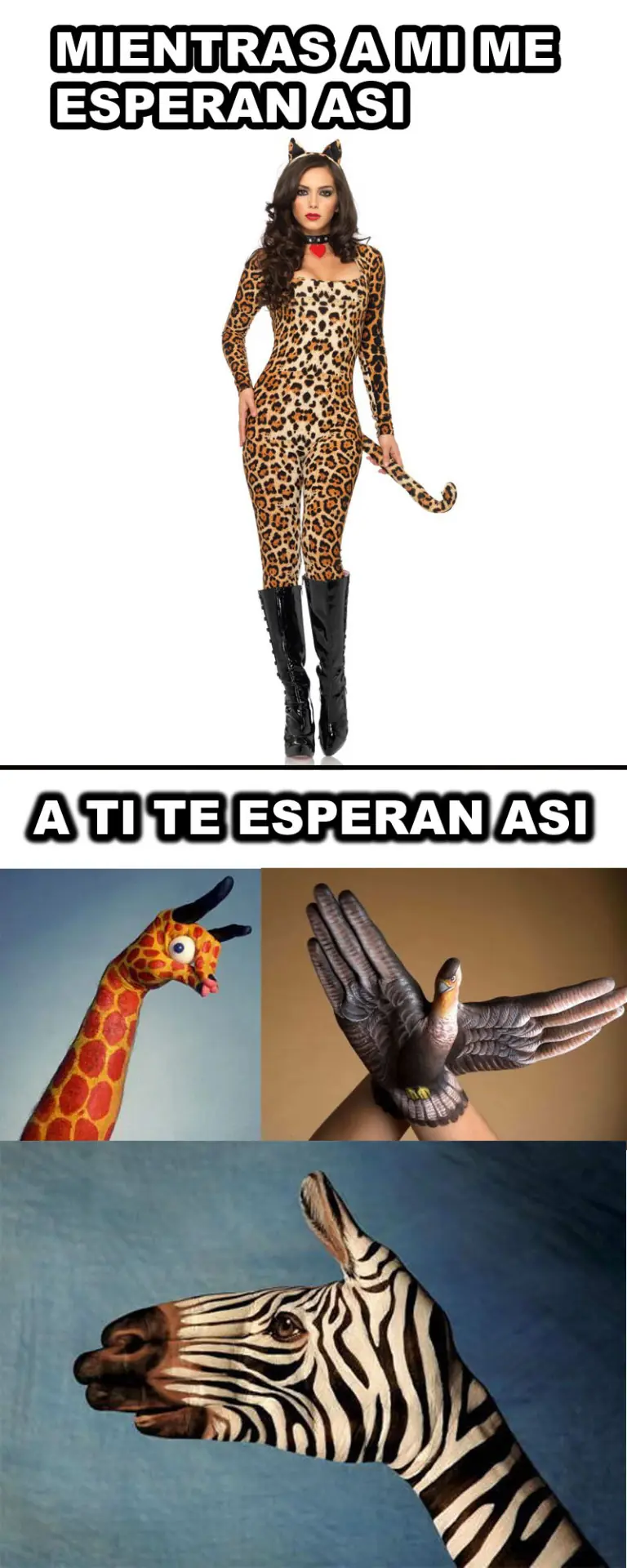 Gifs chistosos