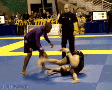 Gifs