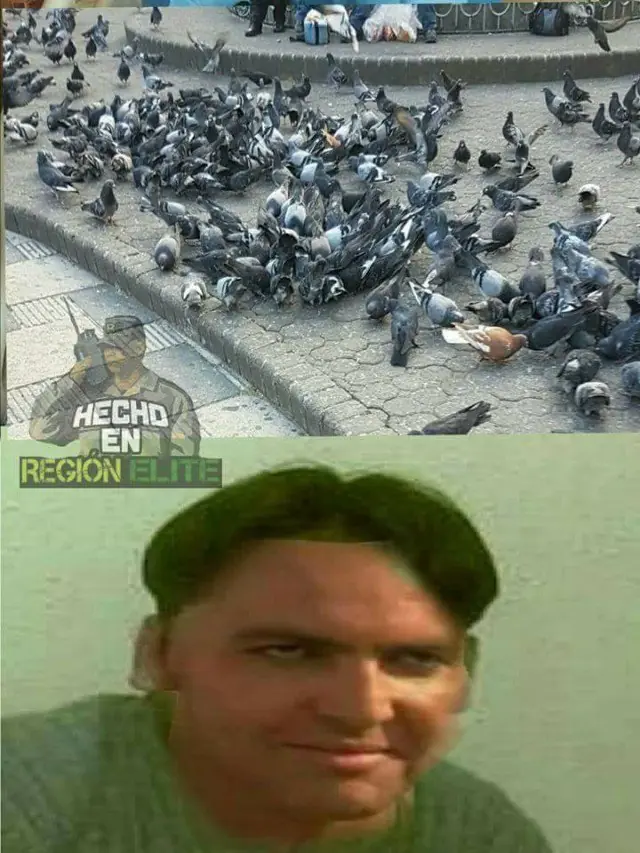 fails