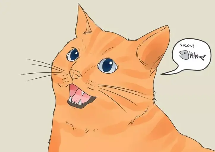 Cómo comunicarse con animales, entra y te enseño 3 metodos