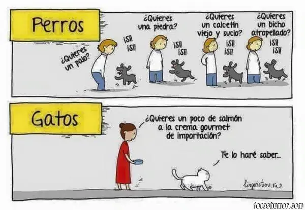 Humor de Miércoles