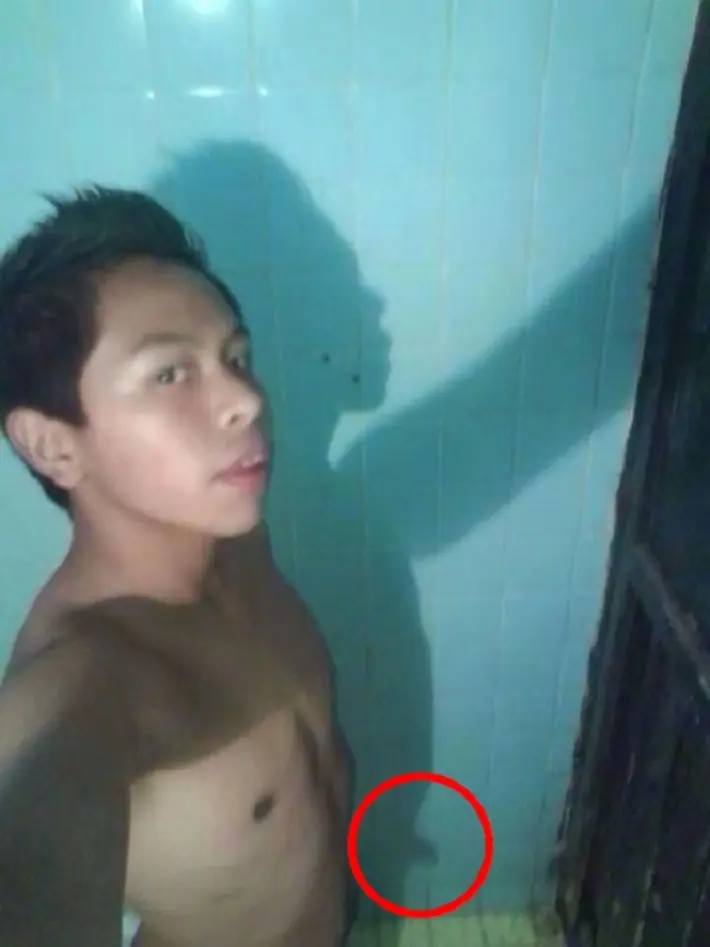 imagenes wtf