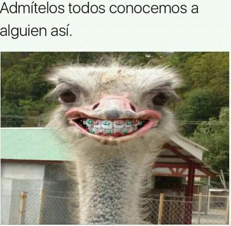Humor mañanero para levantar el ánimo!