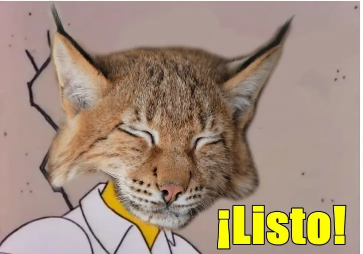 linces