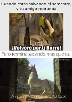 imagenes