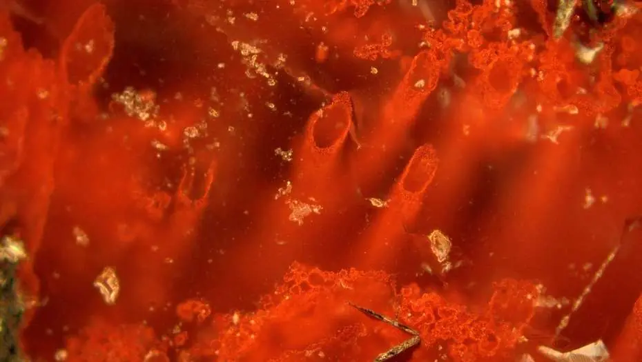 La vida surgió mucho antes de lo que se pensaba