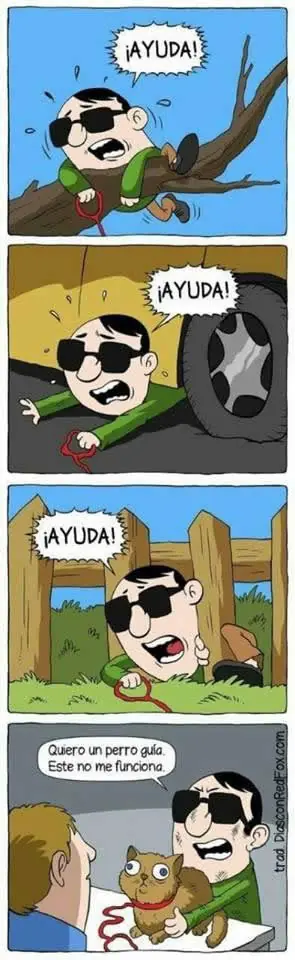 buen humor