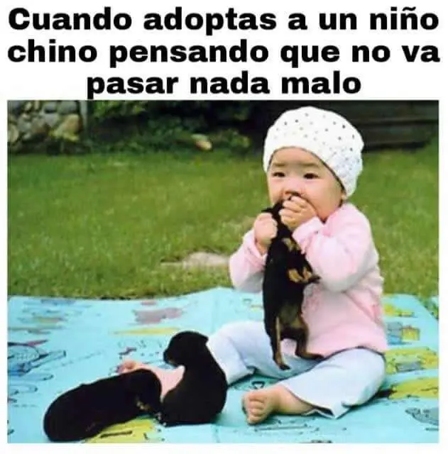 taringa