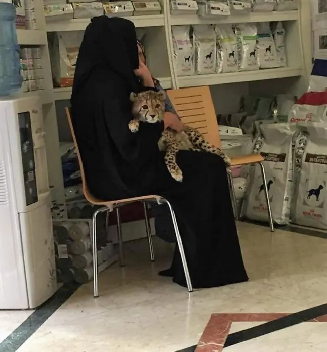la vida en dubai la vida en dubai