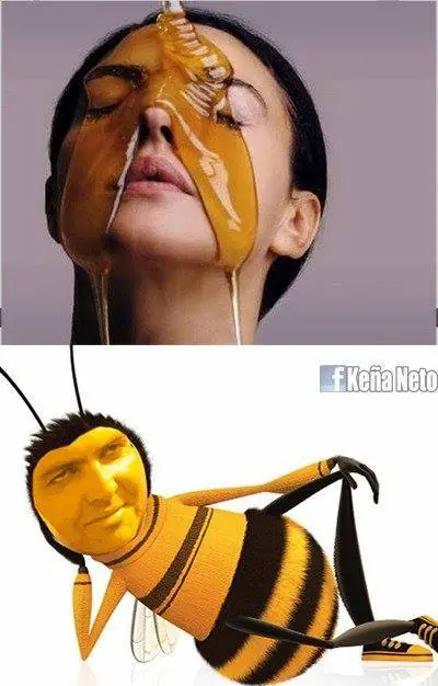 memes