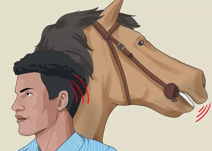 como comunicarse con las mascotas