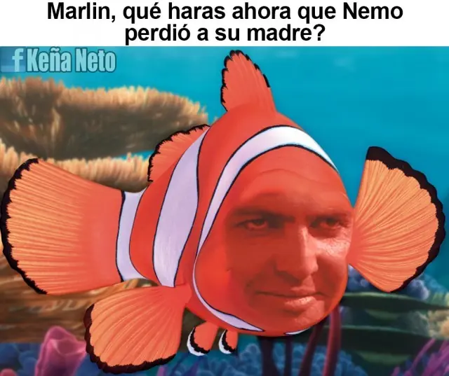 imagenes