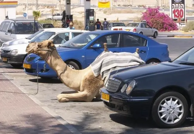 18 Cosas increibles solo posibles en Dubai