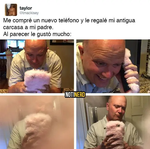 memes