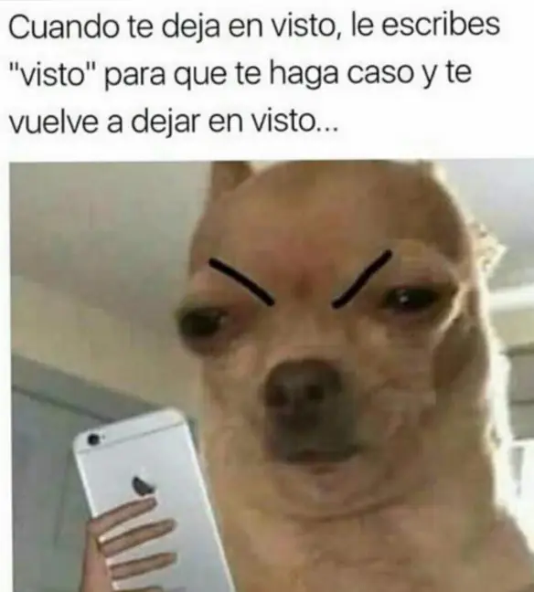 humor