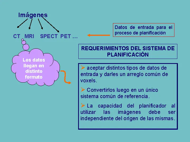 resumen monografico