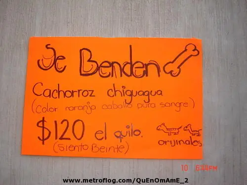 letreros