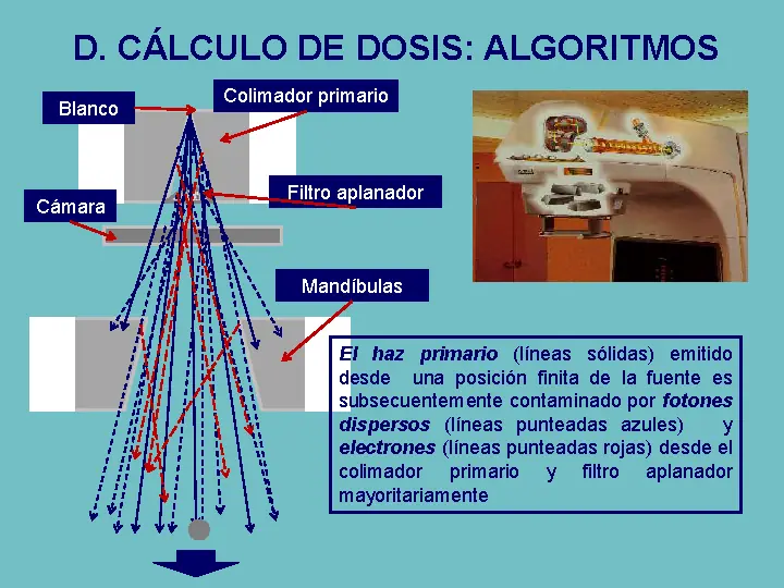 monografias