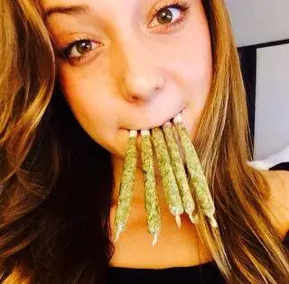 marihuanas
