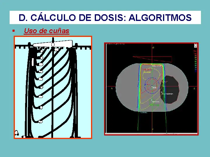 resumen monografico