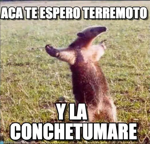 chile